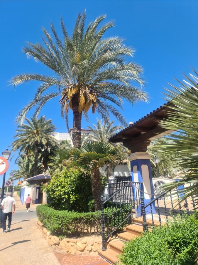 Apartamento La Dama Torrevieja Exterior foto